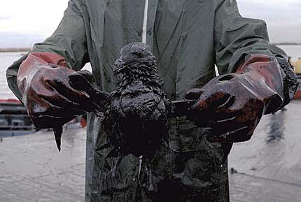 Oil Spill