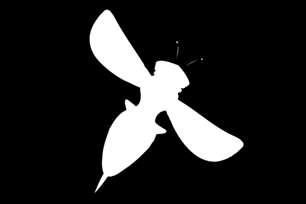 The Weekly Swarm: 5/13 – 5/19